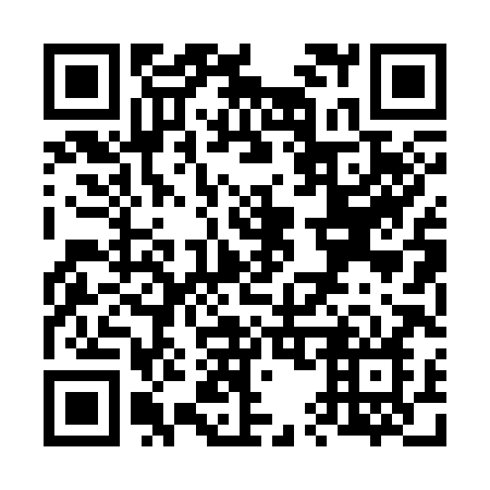 QR code for V5038N