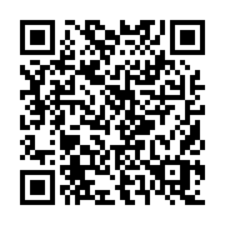 QR code for plate V51-04W