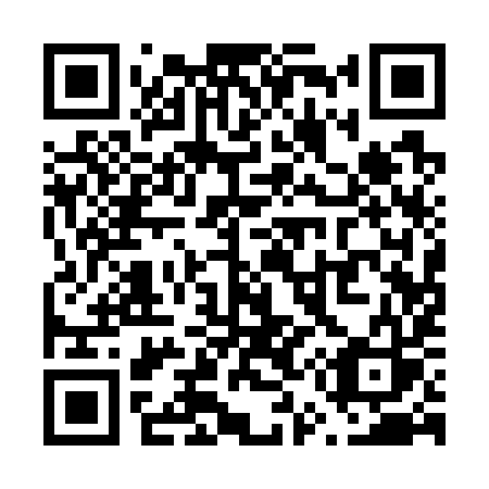 QR code for plate V51-79S