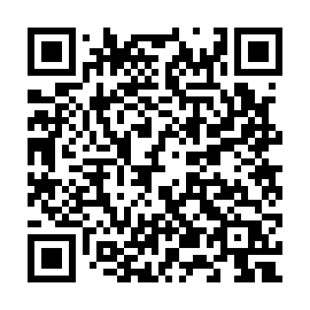QR code for V5216P