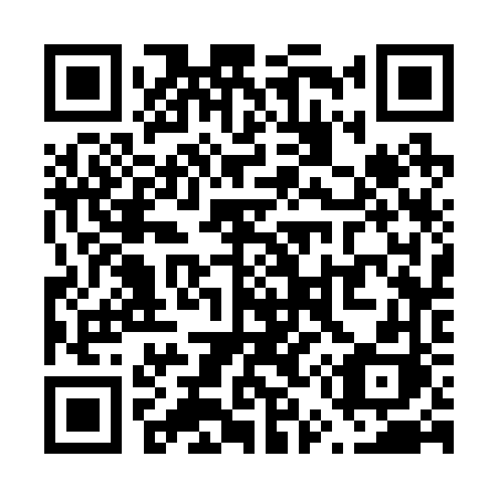 QR code for plate V53-26H