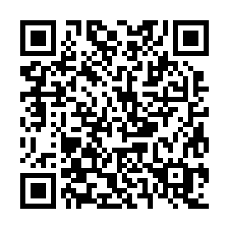 QR code for plate V53-28G