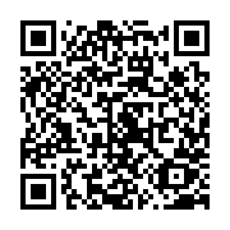 QR code for V55-38Z