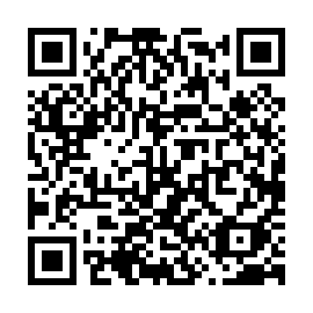 QR code for plate V60-01I