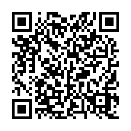 QR code for V61-91Z