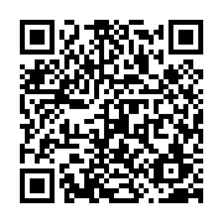 QR code for plate V65-03V