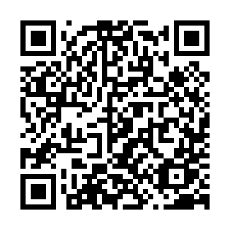 QR code for V6604P