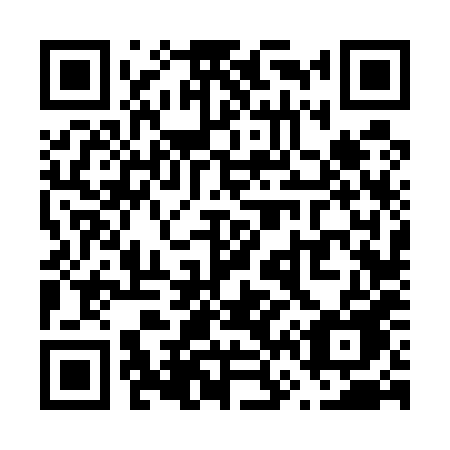 QR code for plate V66-58E