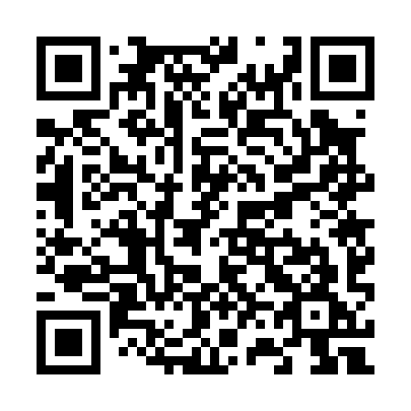 QR code for plate V67-09G