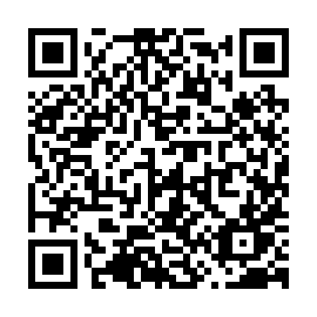 QR code for plate V69-28T