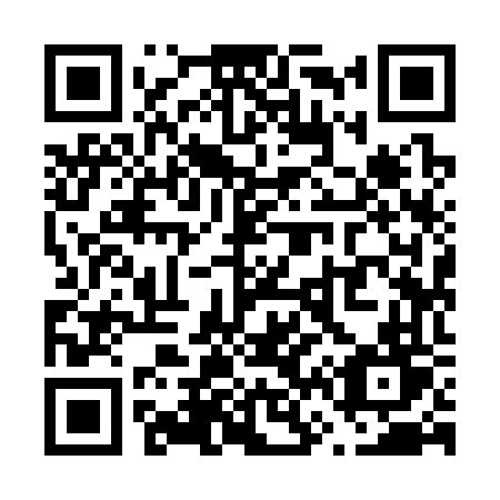 QR code for plate V69-36T