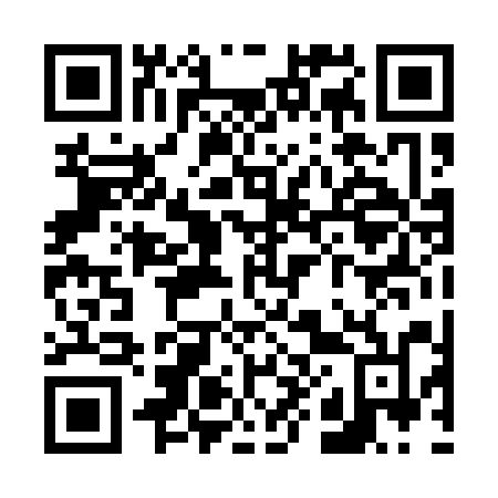QR code for V80-11N