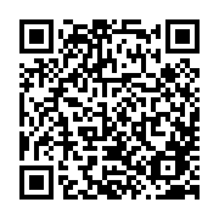 QR code for V8208B