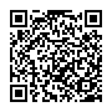 QR code for V8221P