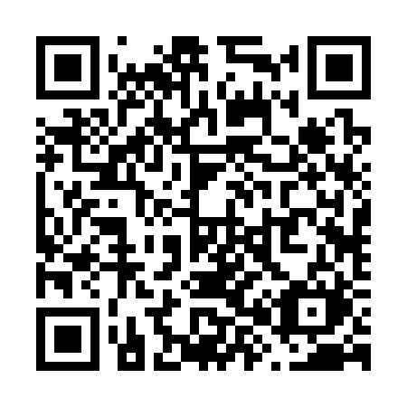 QR code for plate V82-32M