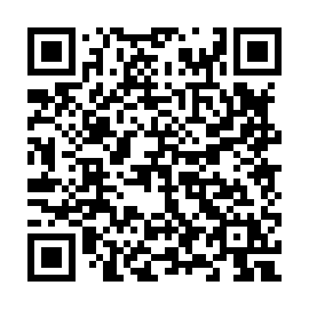 QR code for plate V90-81X