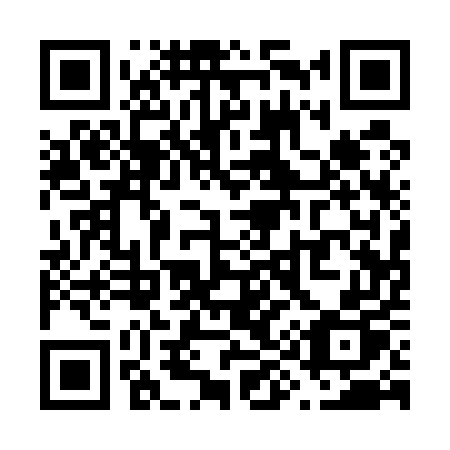 QR code for V9155P