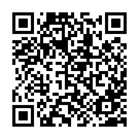 QR code for plate V91-58V