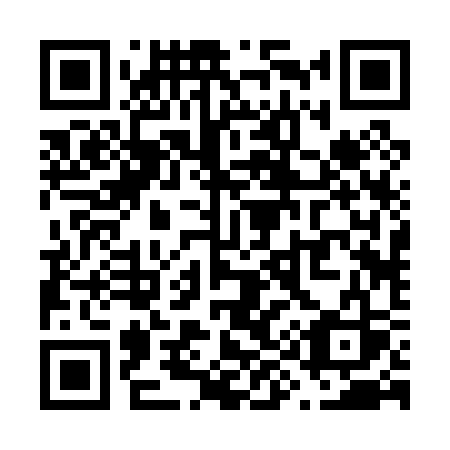 QR code for V9203S