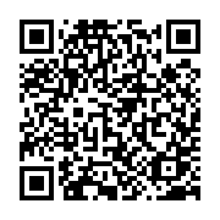 QR code for V9350S
