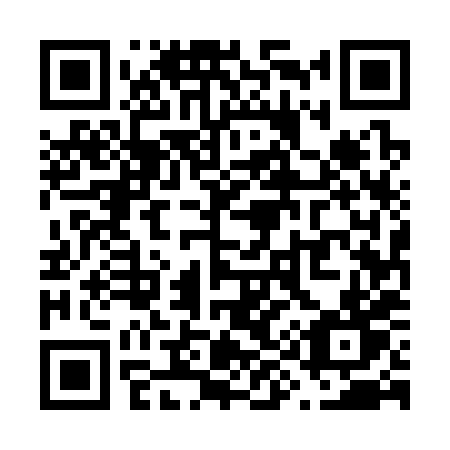 QR code for plate V95-38T