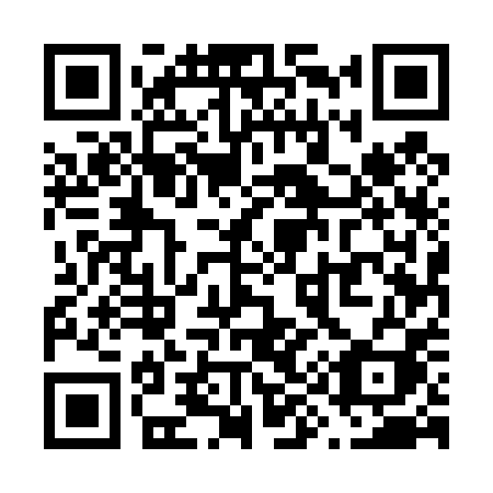 QR code for plate V95-40I