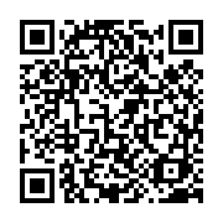 QR code for plate V95-46I