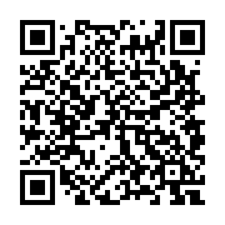 QR code for plate V96-18I