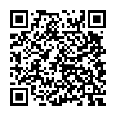 QR code for plate V96-48E