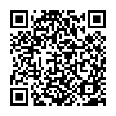 QR code for V9905C