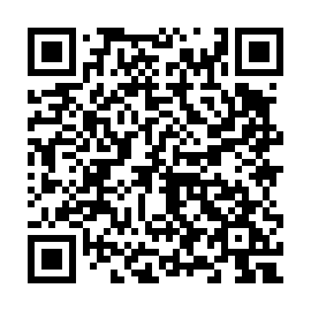 QR code for plate V99-45G