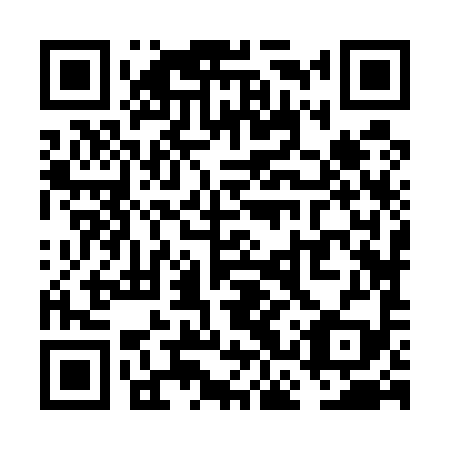 QR code for plate VCZ-599