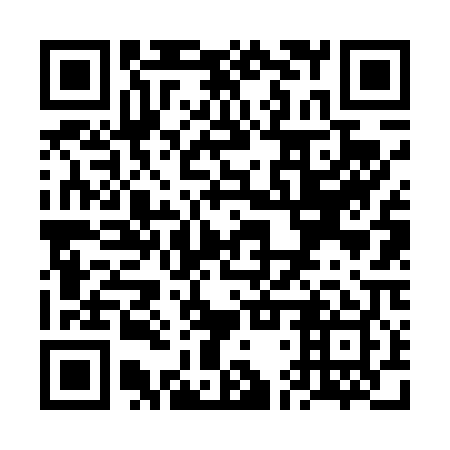 QR code for plate VDV-409