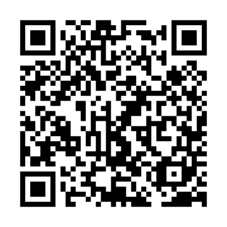 QR code for plate VEF-041