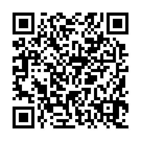 QR code for plate VEI-384