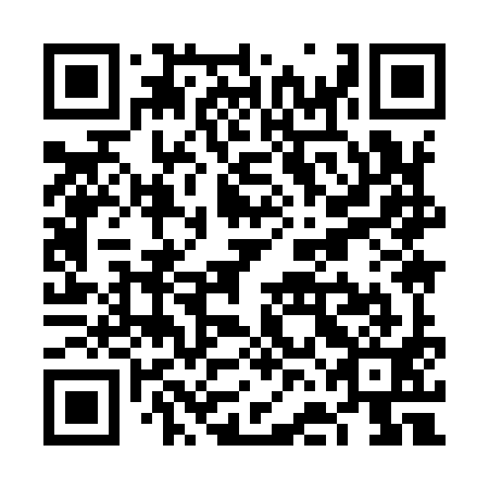 QR code for VFI991