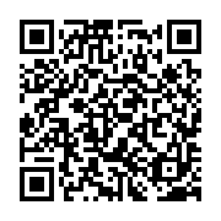QR code for VFN-393