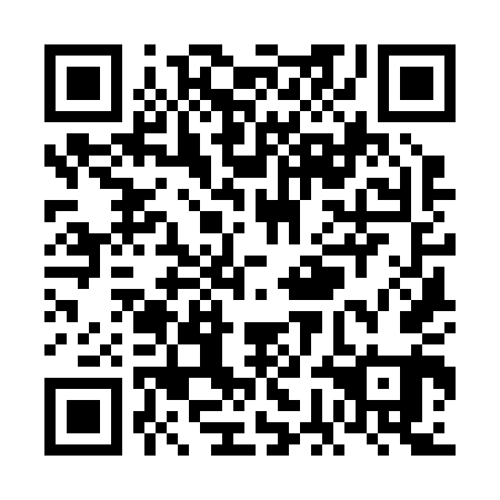 QR code for plate VGK-241