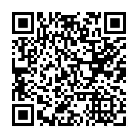 QR code for plate VHZ-919