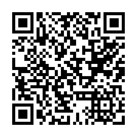 QR code for plate VIN-207