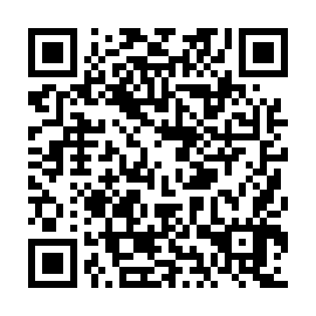 QR code for plate VIP-547