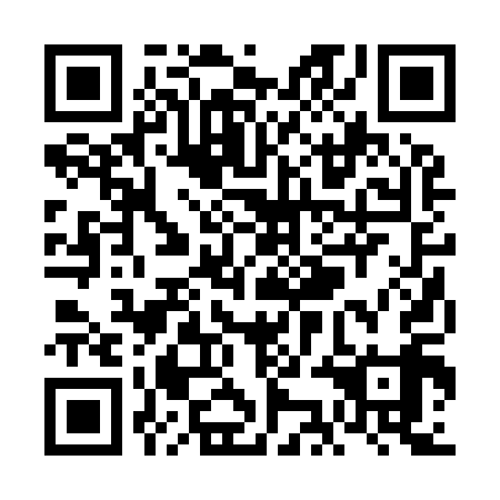 QR code for VKB-919