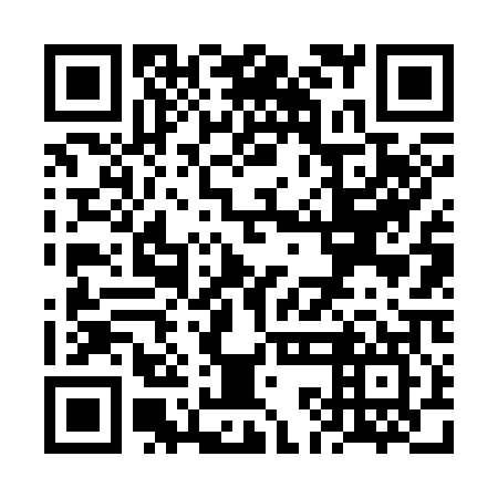 QR code for plate VKF-307