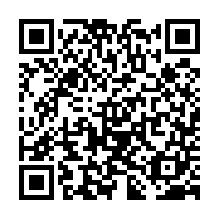 QR code for VLV-541