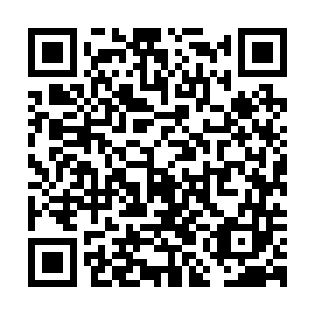 QR code for plate VMM-243