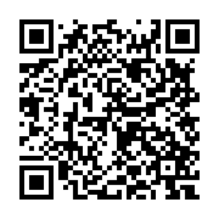 QR code for plate VMW-807