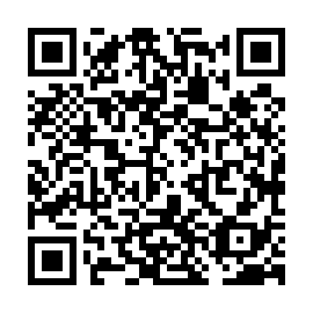 QR code for plate VNH-538