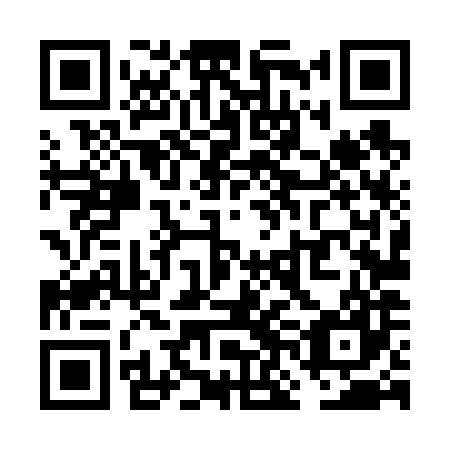 QR code for VNL687