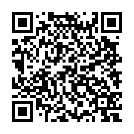 QR code for plate VPN-036