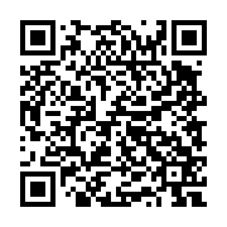 QR code for plate VQD-463
